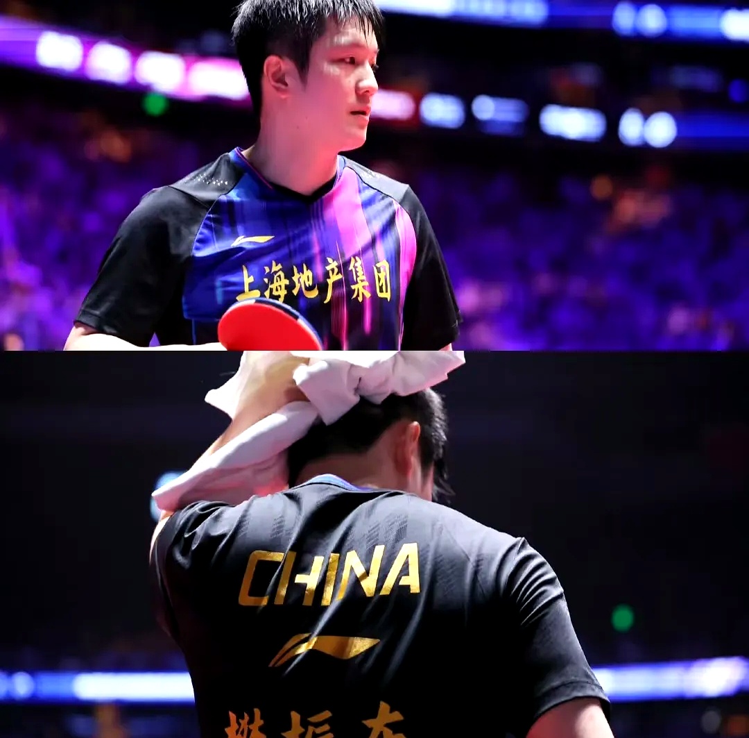 日本乒乓球队险胜韩国乒乓球队,樊振东完成帽子戏法 日本乒乓球队险胜韩国乒乓球队,樊振东完成帽子戏法