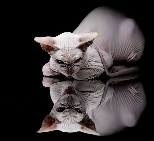 改写剧本,郑思维领军的韩国队,如何以颠覆性战术完胜泰国劲旅?