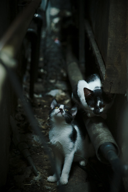 锋线与诗行,在争冠的夜晚,保罗稳定输出不掉线