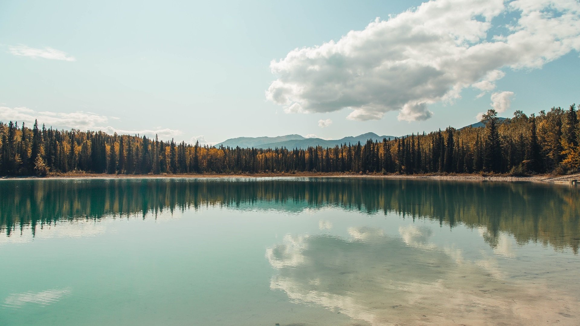 爱游戏官方-当狂潮席卷海岛，利物浦铁蹄踏碎哥斯达黎加的坚毅屏障