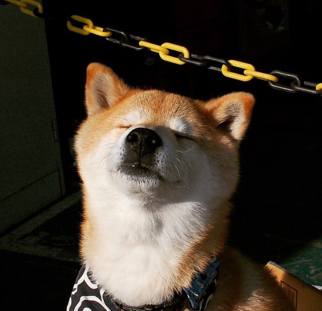 唯一的锁，当乔治在季后赛之夜让世界寂静