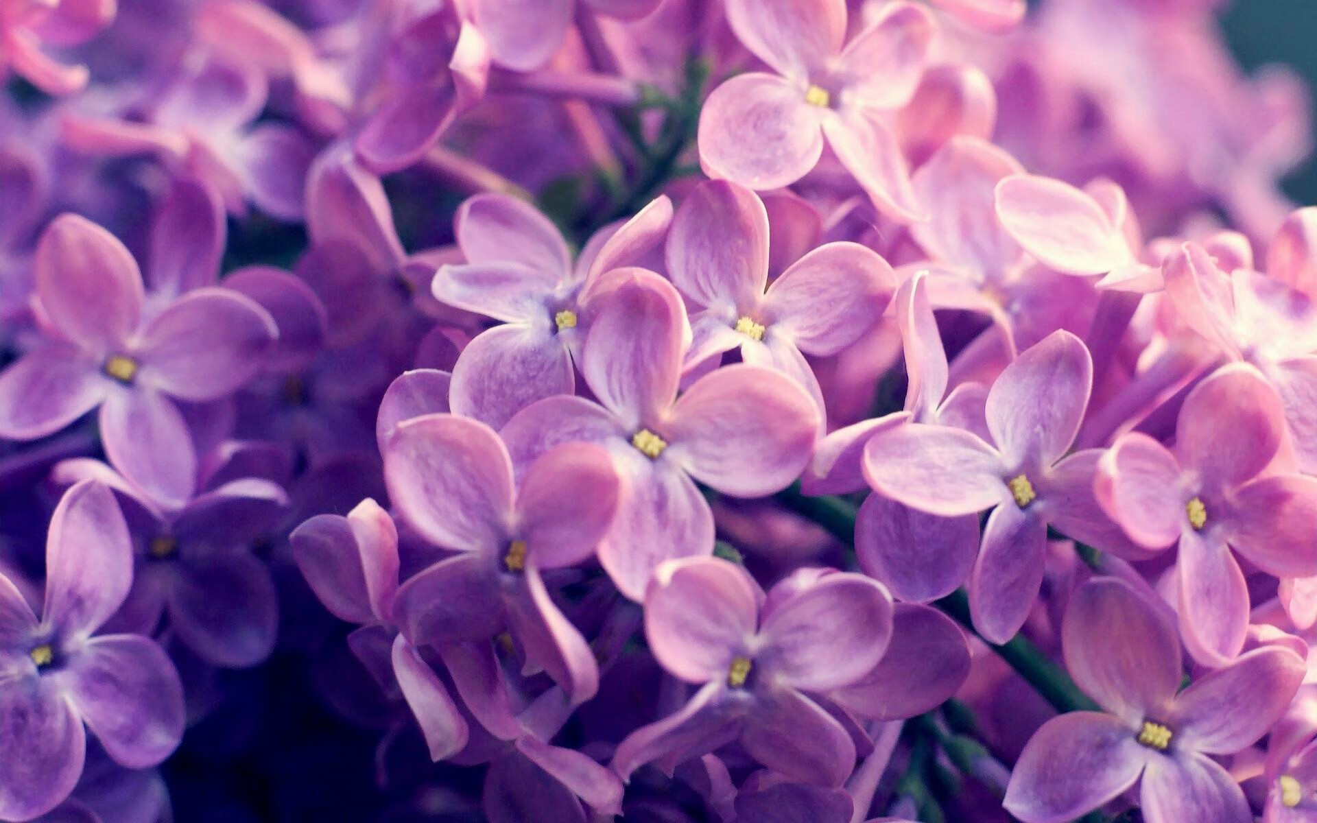 爱游戏在线-跨越南北的足球狂想，当莫德里奇掌控欧冠，安哥拉在非洲杯撕裂希腊神话