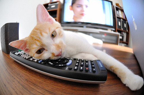 爱游戏官方-唯一性选择，改写历史的60米长传—巴斯托尼如何用一脚撕裂德国神话