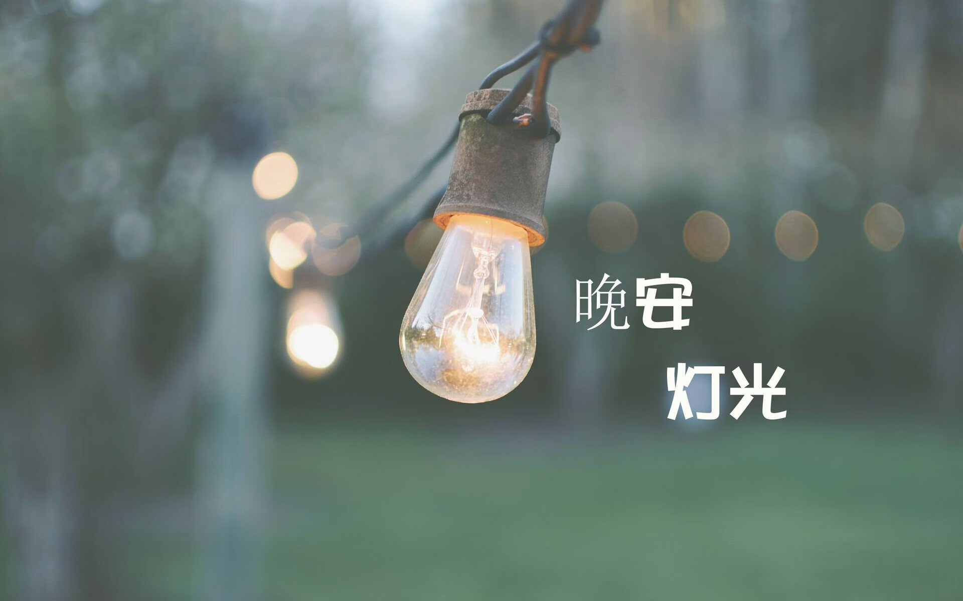 唯一性对决,2026世界杯G组,印度奇迹与阿方索·戴维斯的攻守交响